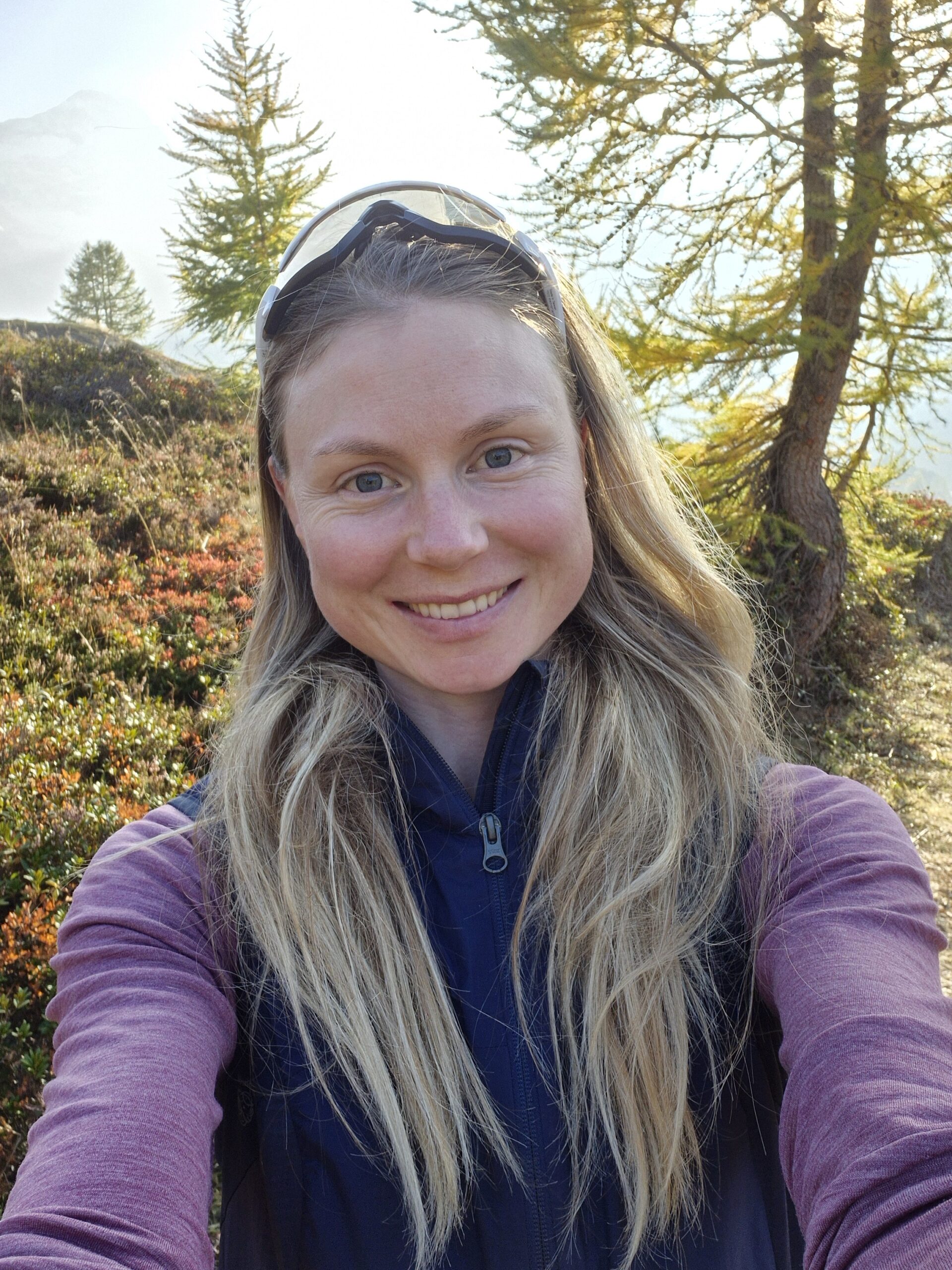 a group of trees covered in snow under a cloudy blue sky