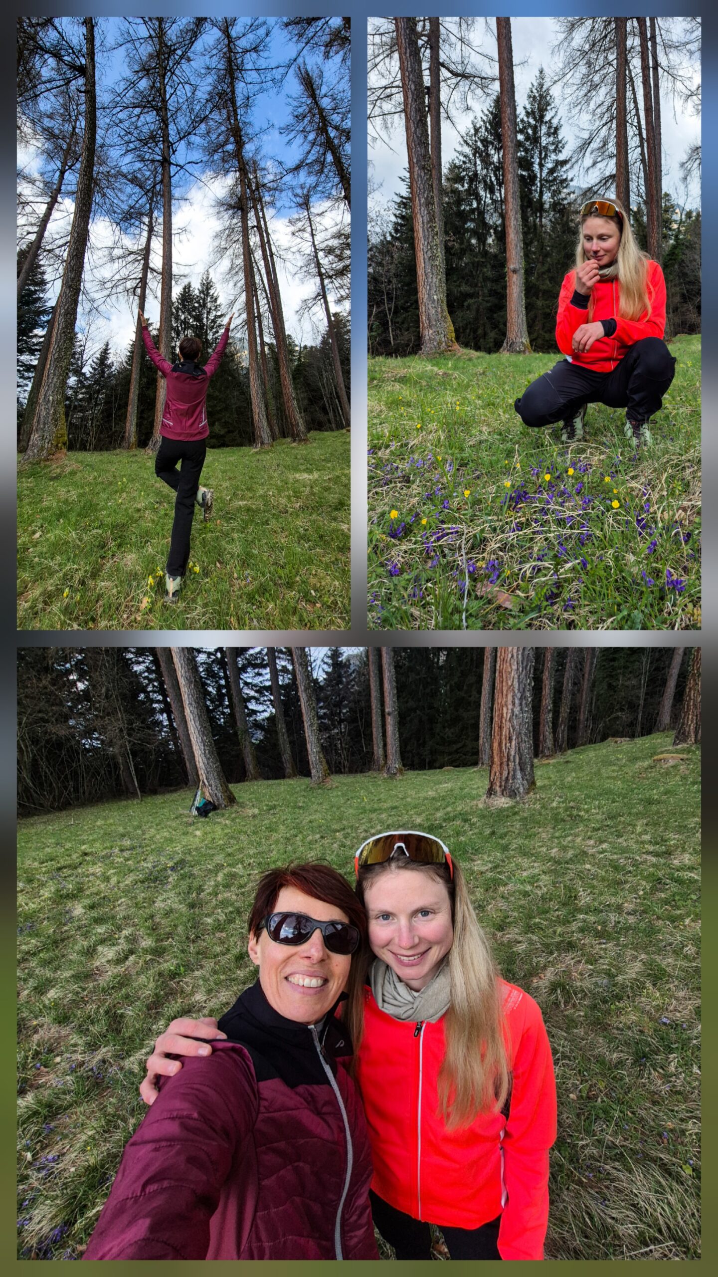 a group of trees covered in snow under a cloudy blue sky