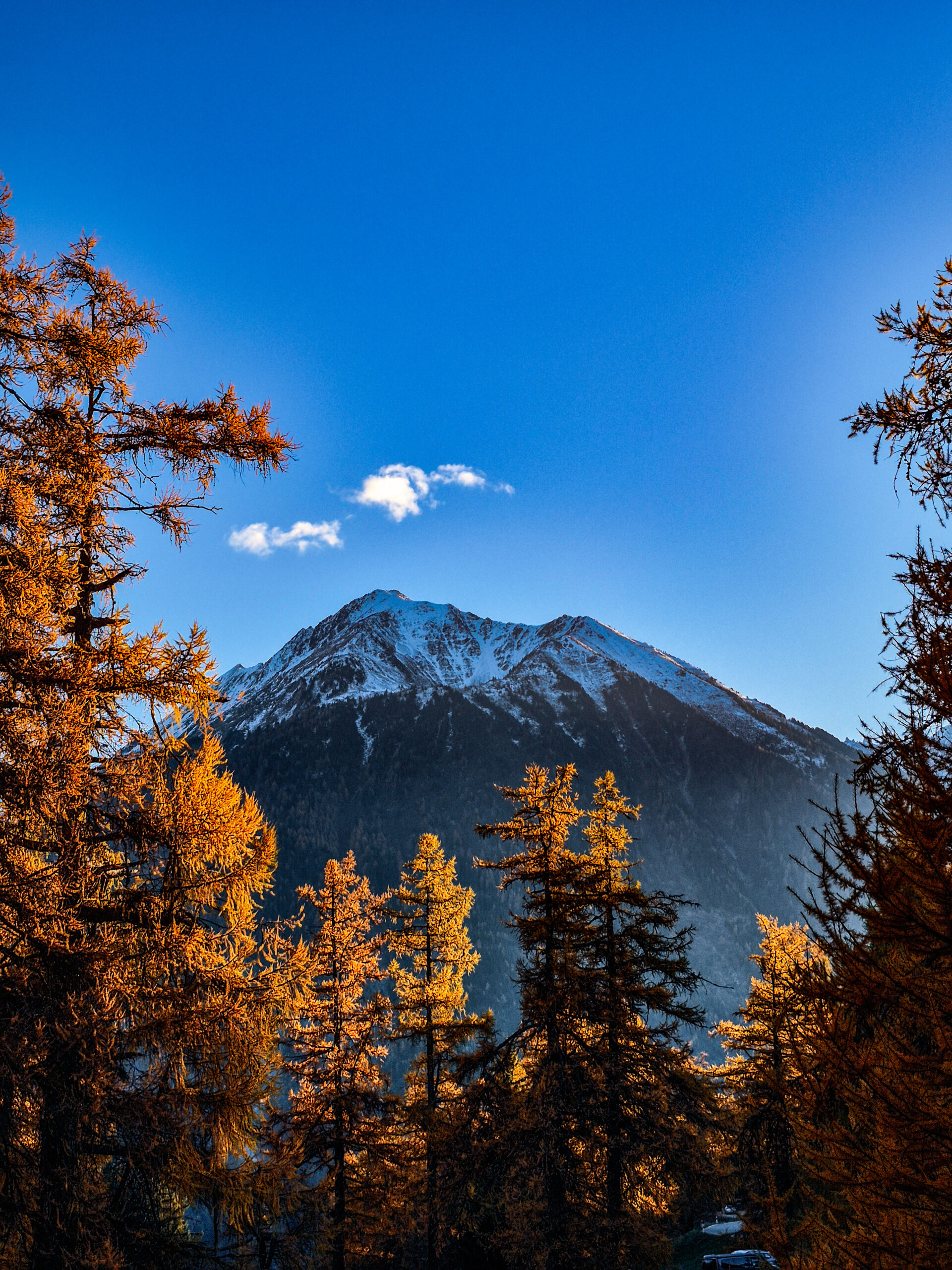 a group of trees covered in snow under a cloudy blue sky